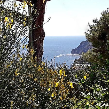 Villetta Rosetta Κάπρι Εξωτερικό φωτογραφία