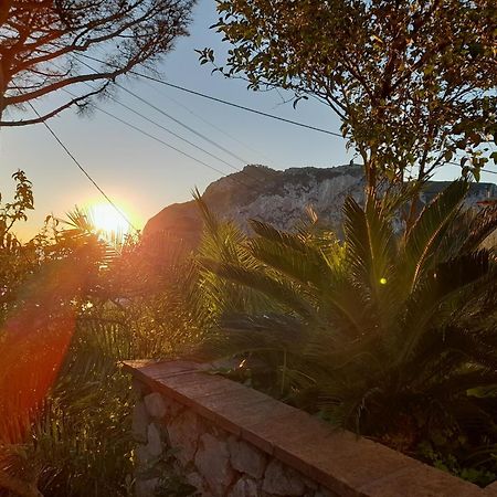 Villetta Rosetta Κάπρι Εξωτερικό φωτογραφία