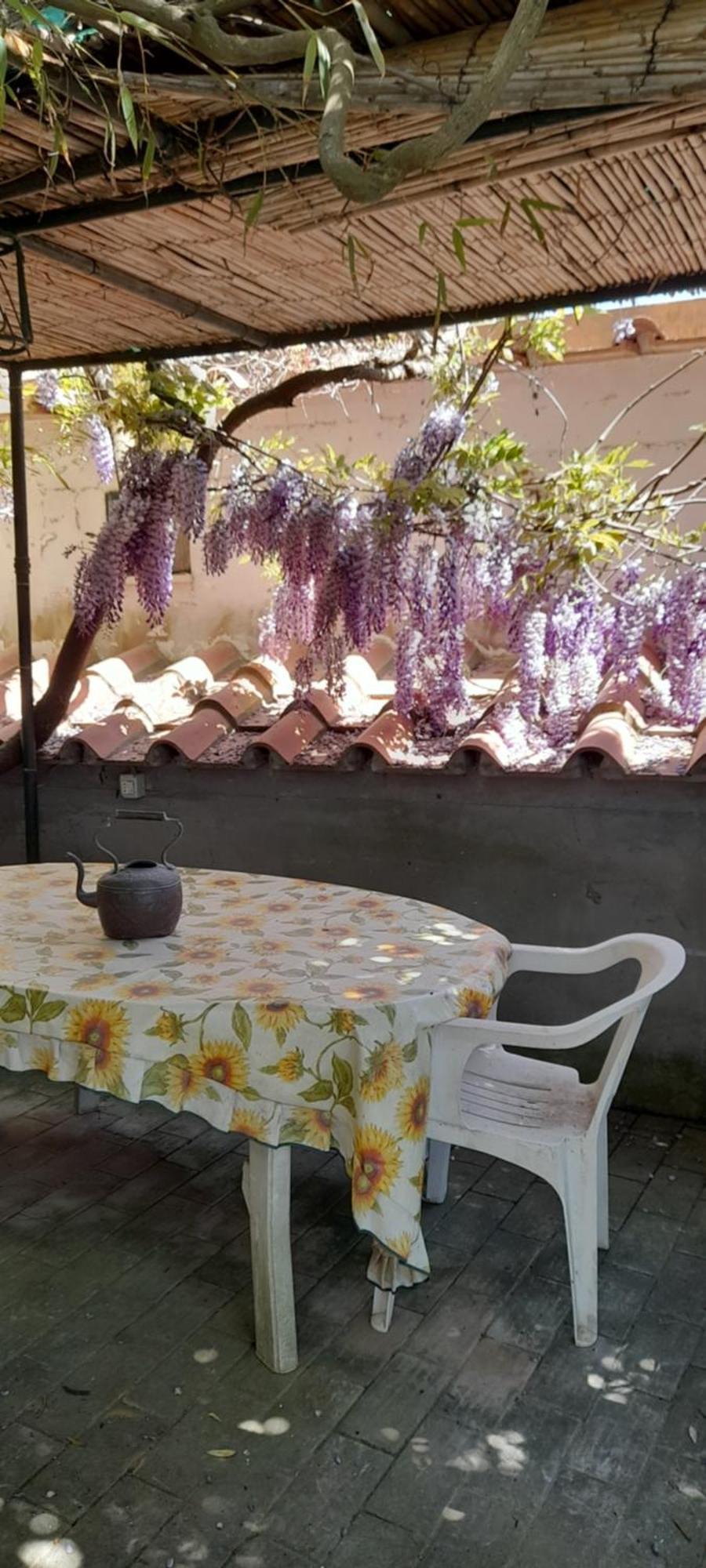 Villetta Rosetta Κάπρι Εξωτερικό φωτογραφία