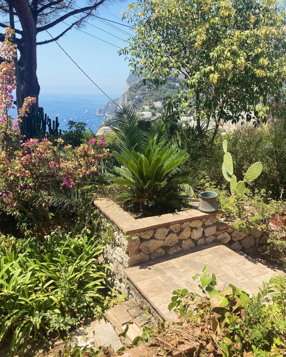 Villetta Rosetta Κάπρι Εξωτερικό φωτογραφία