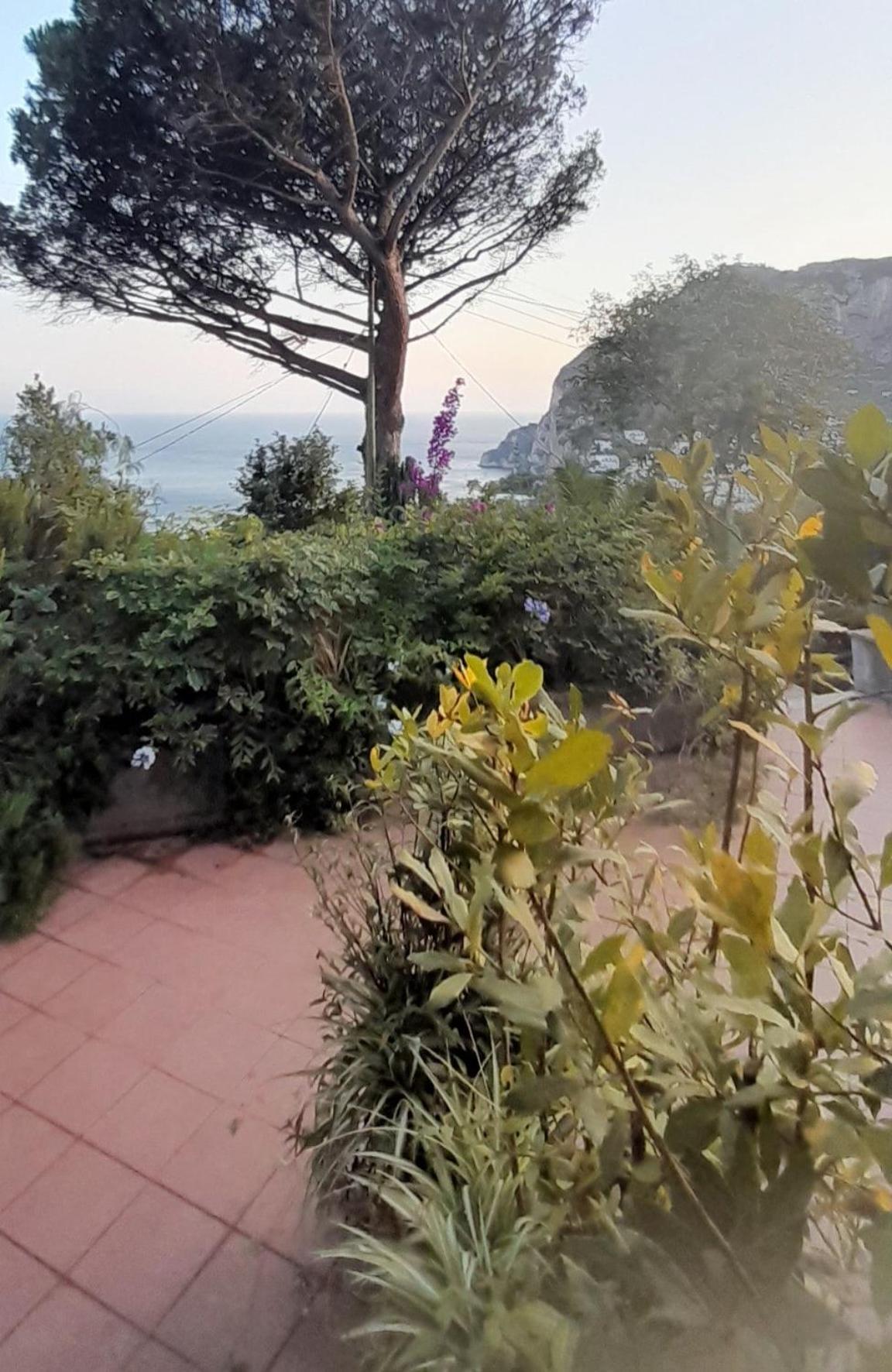 Villetta Rosetta Κάπρι Εξωτερικό φωτογραφία