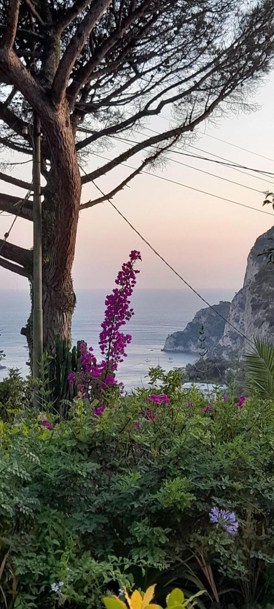Villetta Rosetta Κάπρι Εξωτερικό φωτογραφία