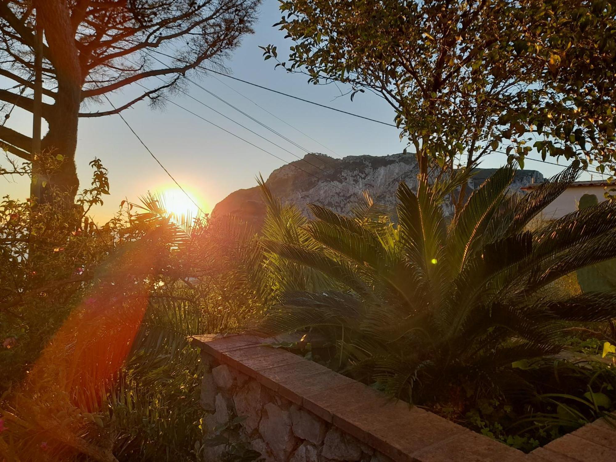 Villetta Rosetta Κάπρι Εξωτερικό φωτογραφία