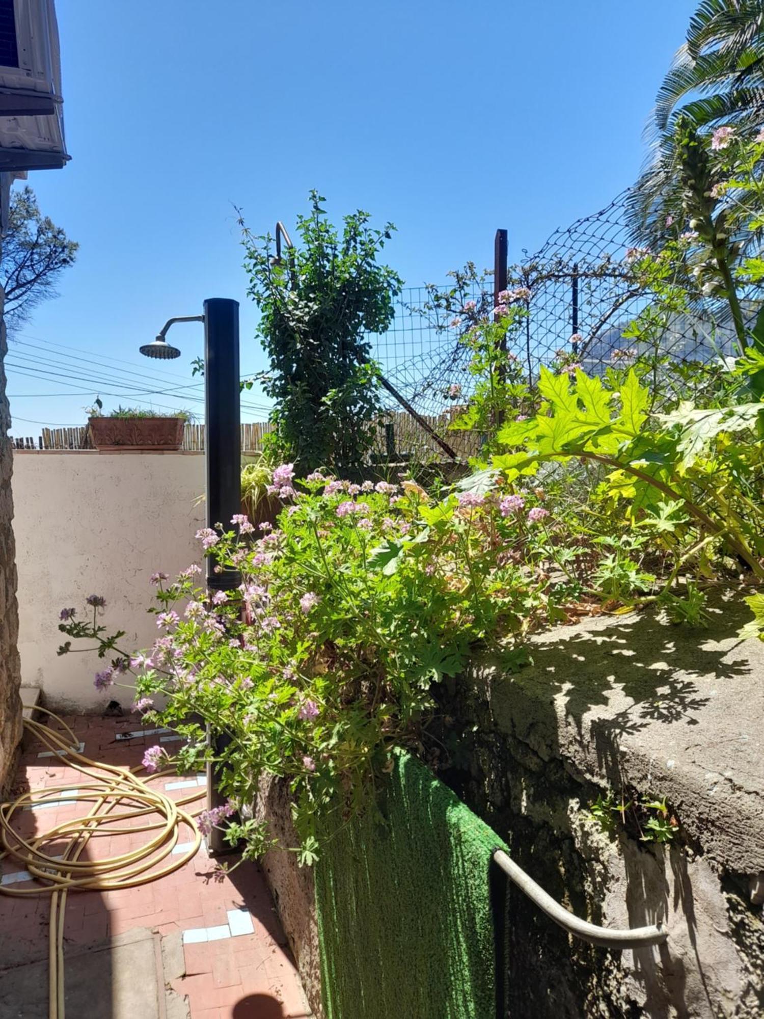 Villetta Rosetta Κάπρι Εξωτερικό φωτογραφία
