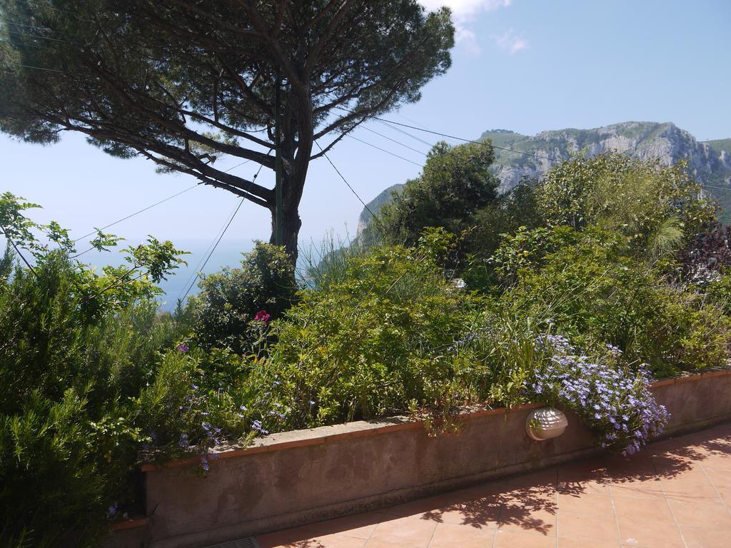 Villetta Rosetta Κάπρι Εξωτερικό φωτογραφία