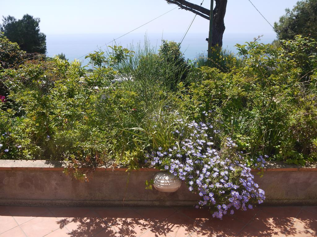 Villetta Rosetta Κάπρι Εξωτερικό φωτογραφία